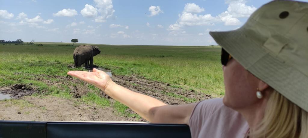 Elephants crossing in Maasai Mara